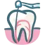 Paradontologia